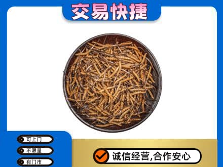 泰安市宁阳回收散虫草
